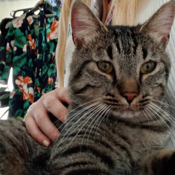Sacha
