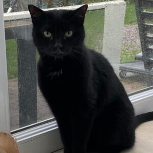 Sam